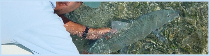 releasing a huge bonefish off islamorada